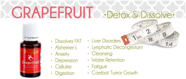 Grapefruit Oil Young Living For Weight Loss